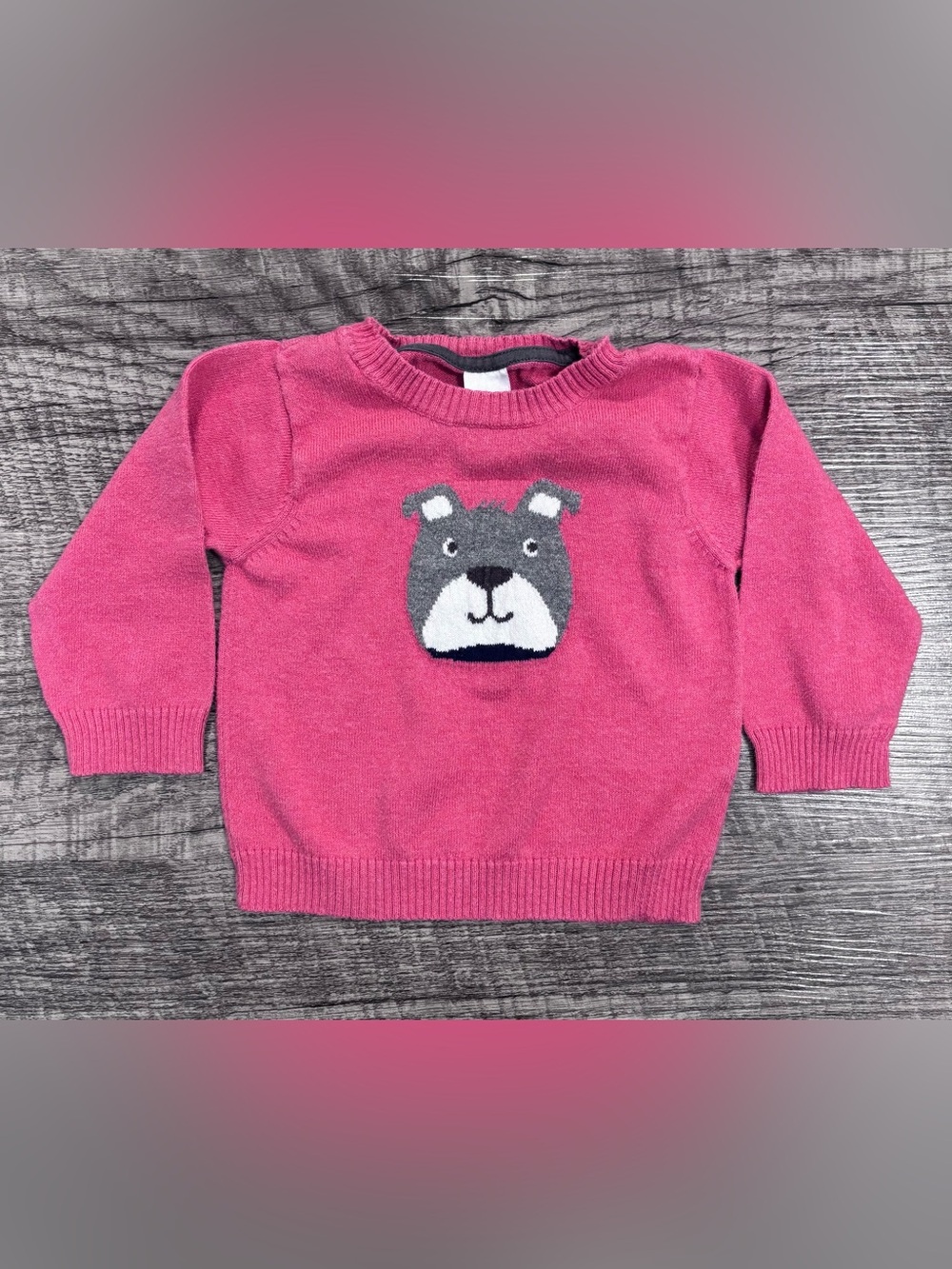 Carter’s Dog Sweater